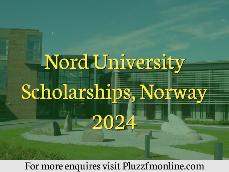 Nord University Scholarships Norway 2024 Pluzzfmonline   Nord 800x600 